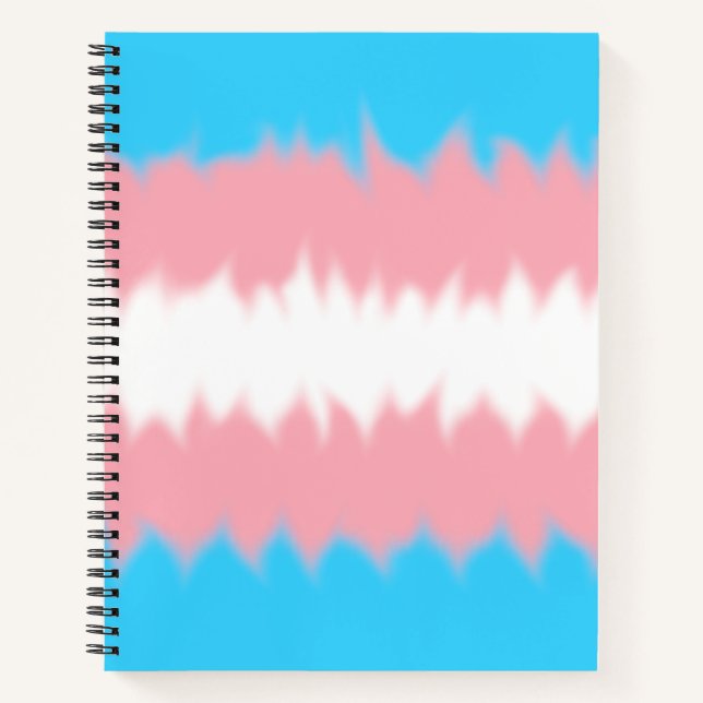 Cuaderno de la bandera trans (Anverso)