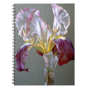 Cuaderno de la bella arte del iris