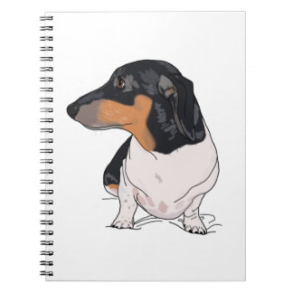 Cuaderno de la boogie