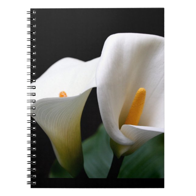 Cuaderno de la cala (Frente)