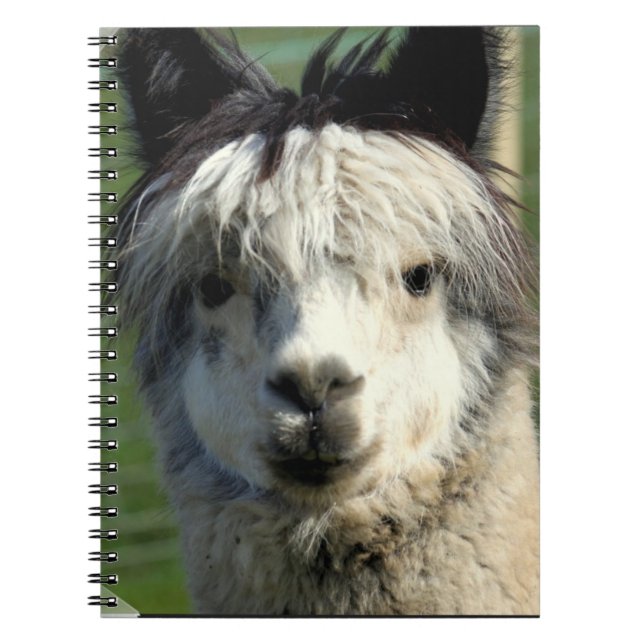 Cuaderno de la cara de la llama (Frente)