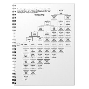 Cuaderno de la carta del primo de Alicia J Ramsey