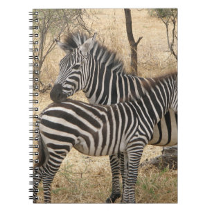 Cuaderno de la cebra de la madre y del bebé