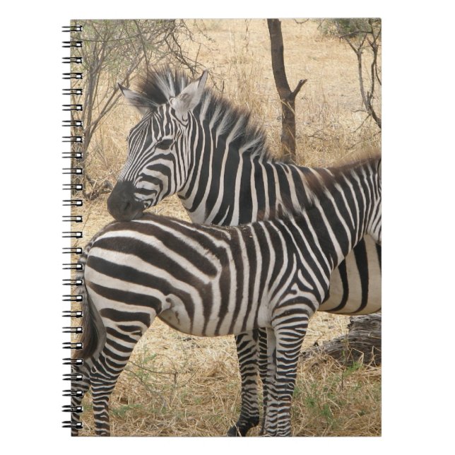 Cuaderno de la cebra de la madre y del bebé (Frente)