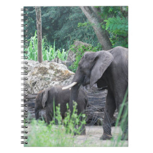 Cuaderno de la familia del elefante