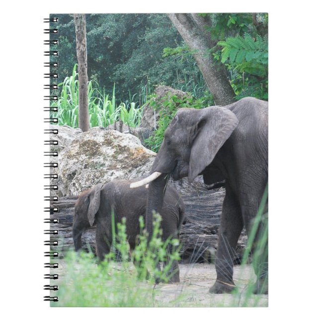 Cuaderno de la familia del elefante (Frente)