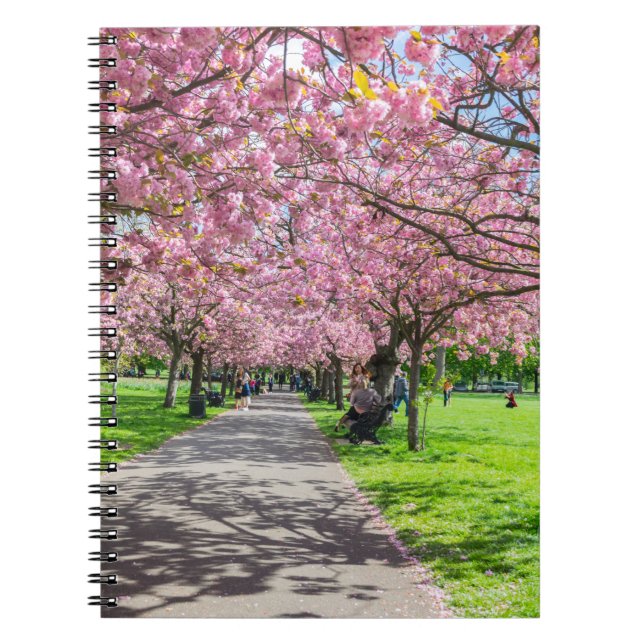 Cuaderno de la flor de cerezo (Frente)