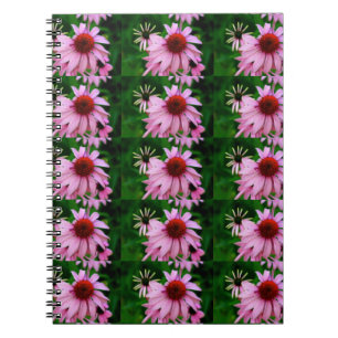 cuaderno de la flor del echinacea
