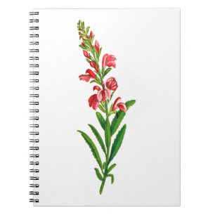 Cuaderno de la Flor del Mes de Nacimiento, Floral