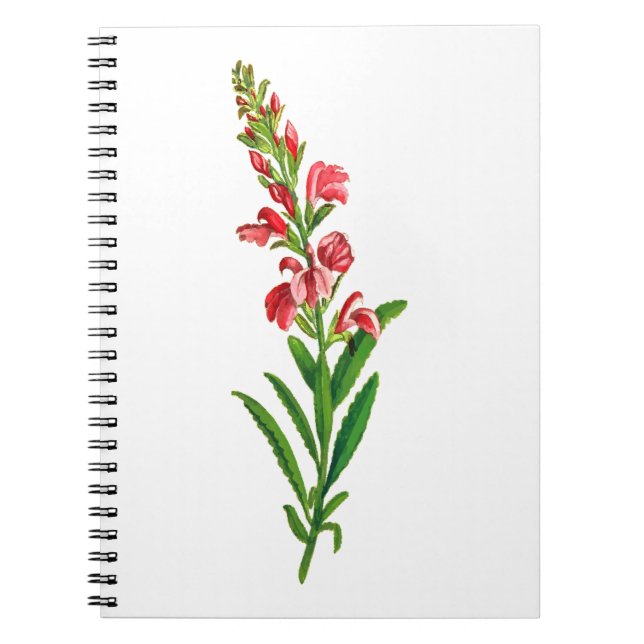 Cuaderno de la Flor del Mes de Nacimiento, Floral  (Frente)