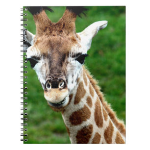 Cuaderno de la foto de la jirafa