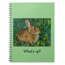 Cuaderno de la foto del espiral del conejo de