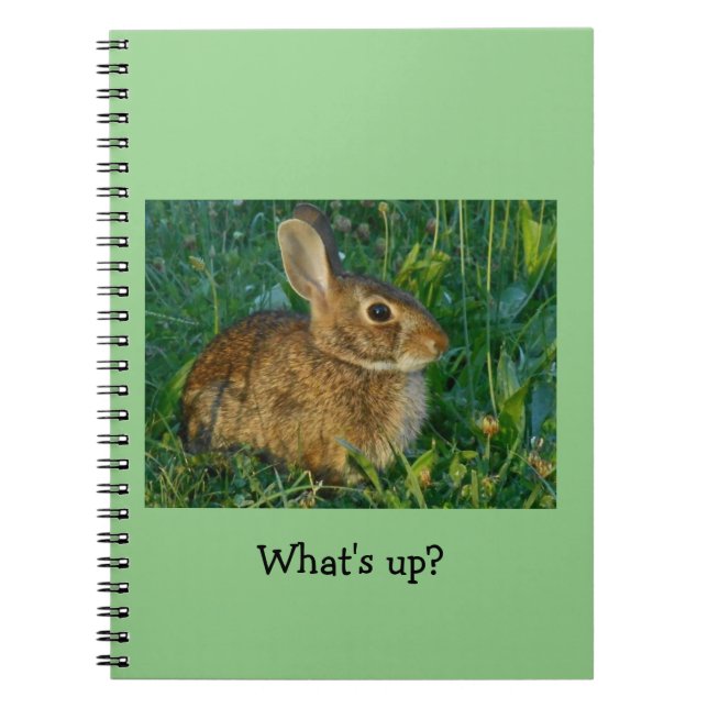Cuaderno de la foto del espiral del conejo de (Frente)