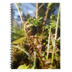 Cuaderno de la fronda del helecho