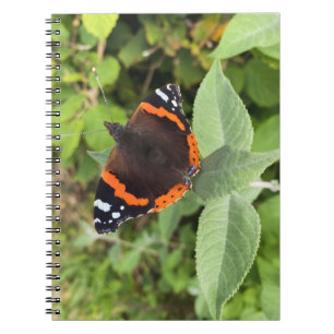 Cuaderno de la hermosa mariposa almirante roja