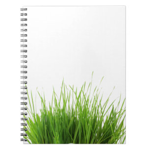 Cuaderno de la hierba