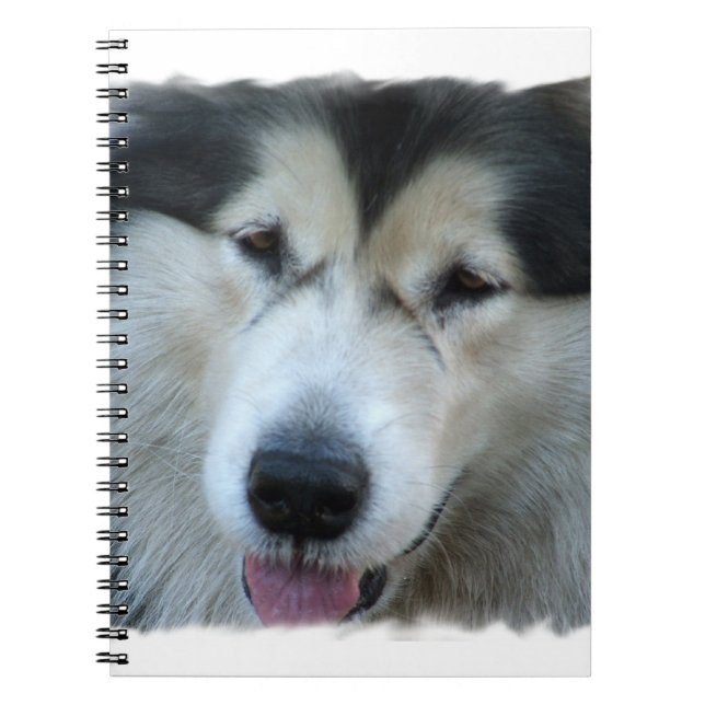 Cuaderno de la imagen del Malamute del lobo (Frente)
