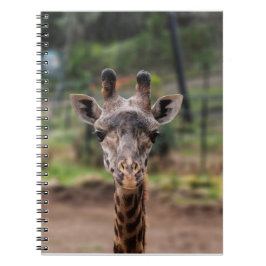 Cuaderno de la jirafa