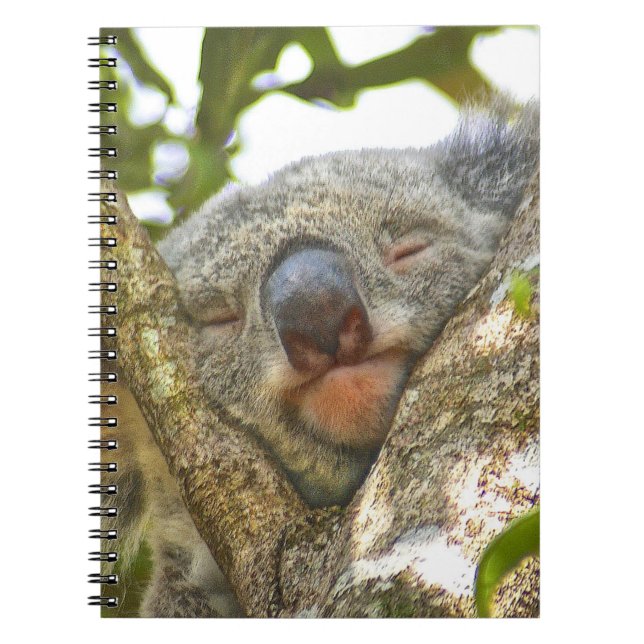 Cuaderno de la koala (Frente)