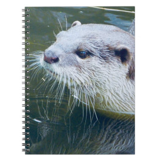 Cuaderno de la nutria