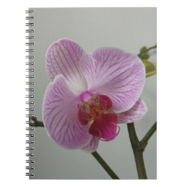 Cuaderno de la orquídea