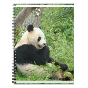 Cuaderno de la panda