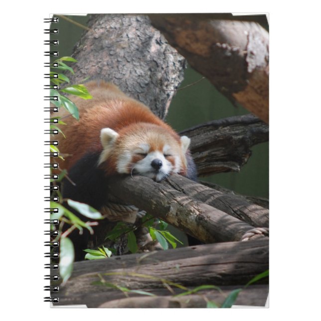 Cuaderno de la panda roja el dormir (Frente)