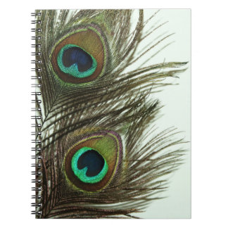 Cuaderno de la pluma del pavo real
