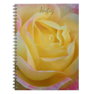 cuaderno de la rosa eterna