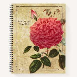 Cuaderno de la Rosa Souvenir de la Malmaison