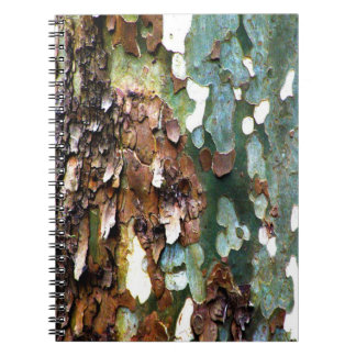 Cuaderno de la textura de la corteza de árbol