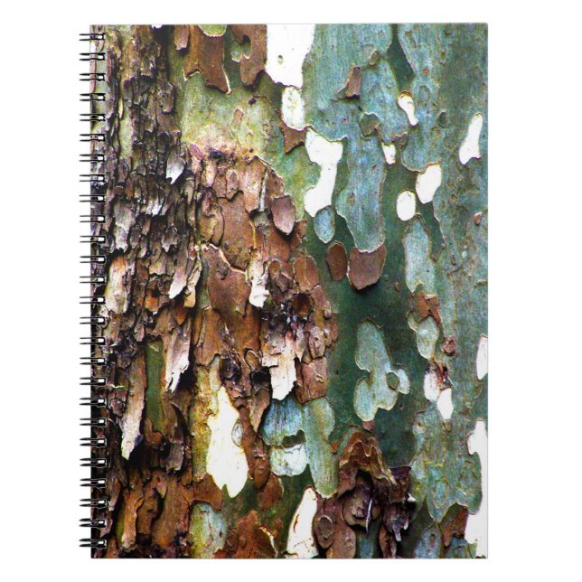 Cuaderno de la textura de la corteza de árbol (Frente)