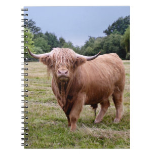 Cuaderno de la vaca de la montaña