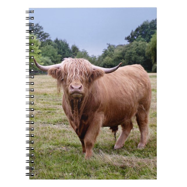 Cuaderno de la vaca de la montaña (Frente)