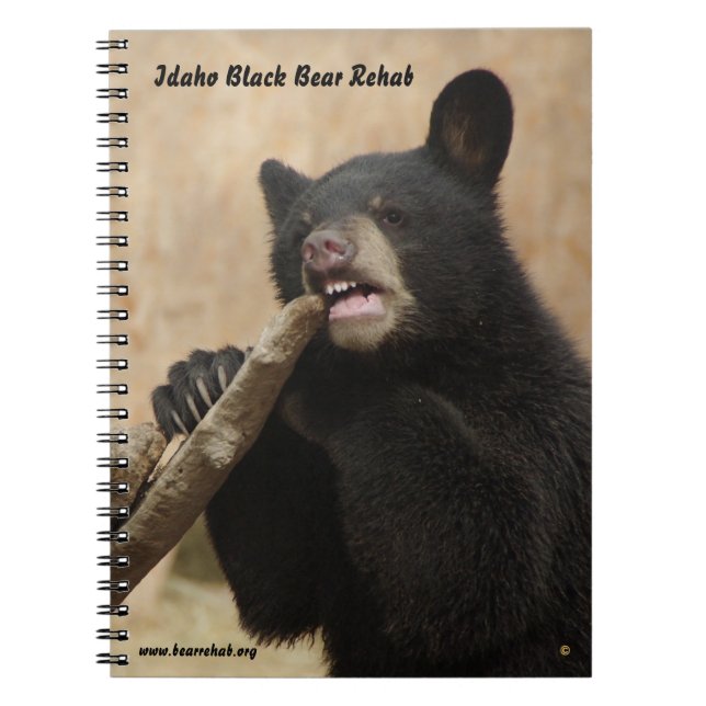 Cuaderno de Lanikai (Frente)