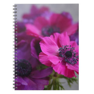 cuaderno de las anémonas