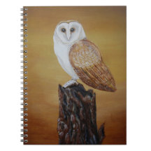 Cuaderno de lechuza común