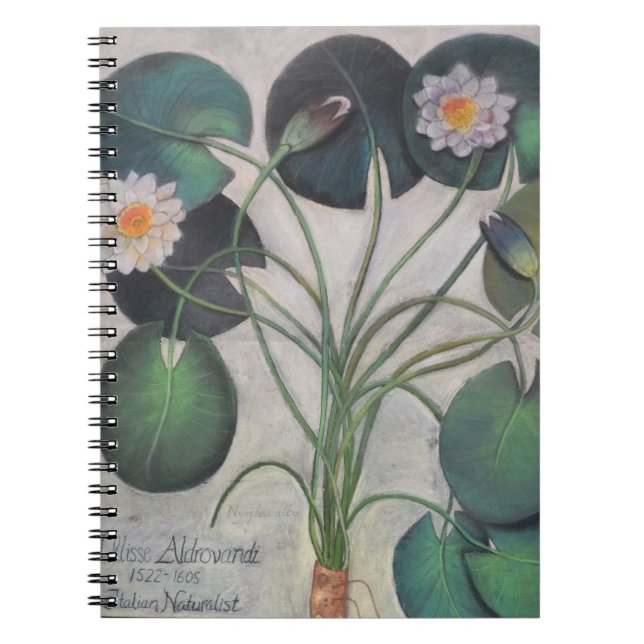 Cuaderno de Lillies del agua (Frente)