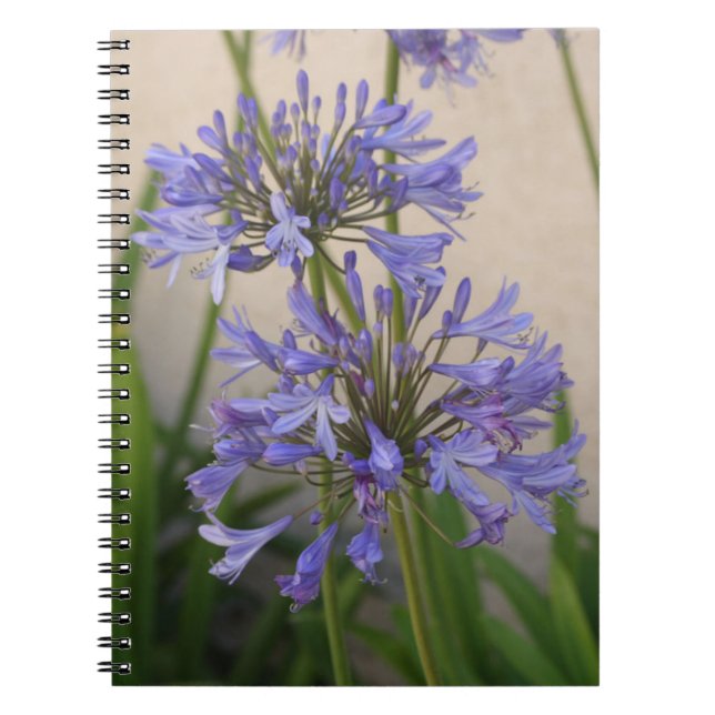 Cuaderno De Lily Of The Nile Flowers (Frente)