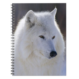 Cuaderno de Lobo Blanco Ártico