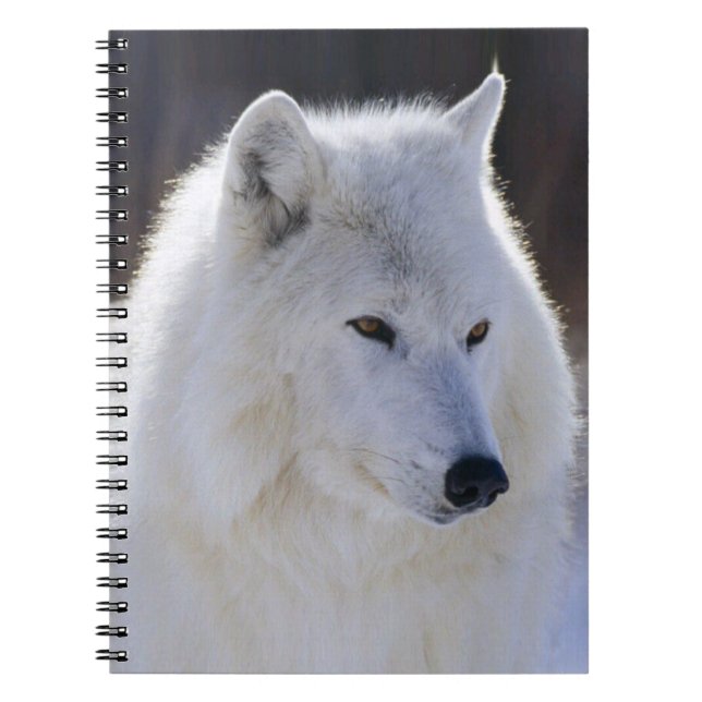 Cuaderno de Lobo Blanco Ártico (Frente)