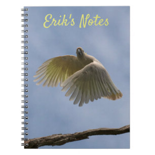 Cuaderno de loro de ave cacatúa volando en el ciel