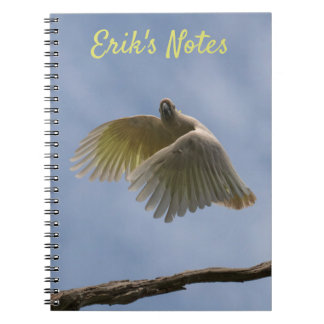 Cuaderno de loro de ave cacatúa volando en el ciel