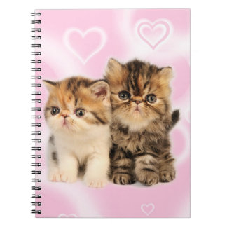 Cuaderno de los amigos