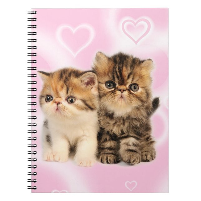 Cuaderno de los amigos (Frente)