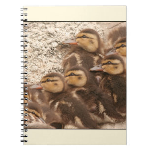Cuaderno de los anadones