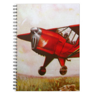 Cuaderno de los aviones del vintage