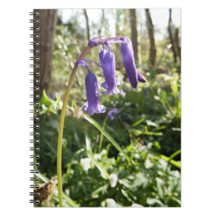 Cuaderno de los Bluebells