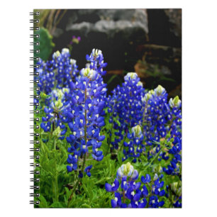Cuaderno de los Bluebonnets de Tejas