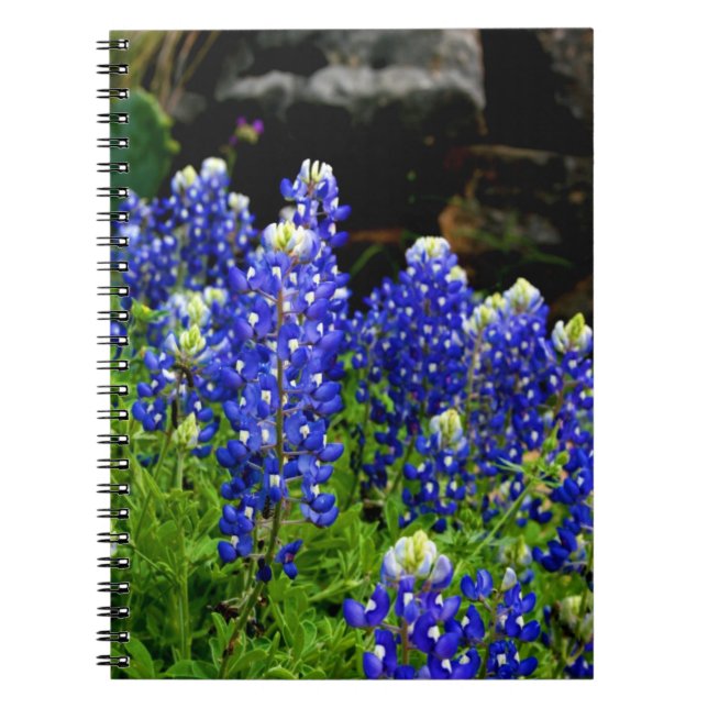 Cuaderno de los Bluebonnets de Tejas (Frente)